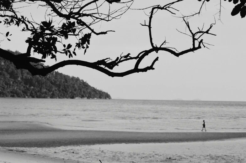 black and white pograph of a man and woman walking on beach