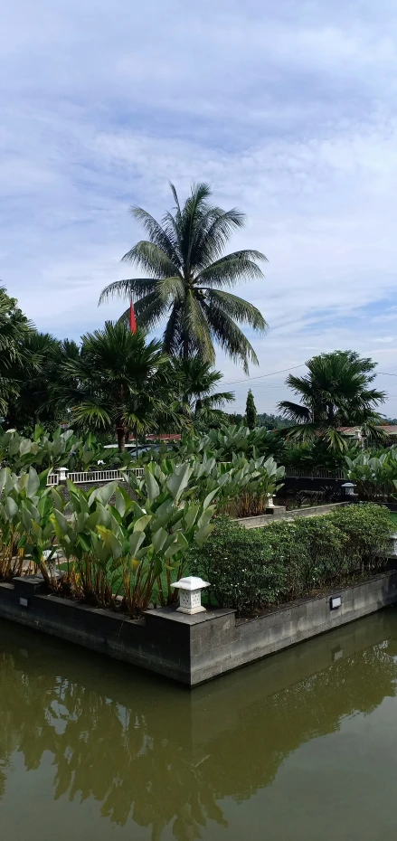 large water planter near a concrete platform with small plants