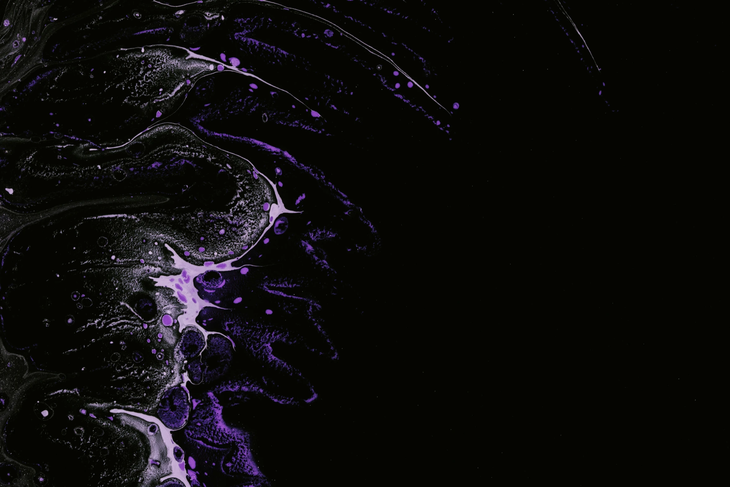 this is abstract po of a black and purple wave