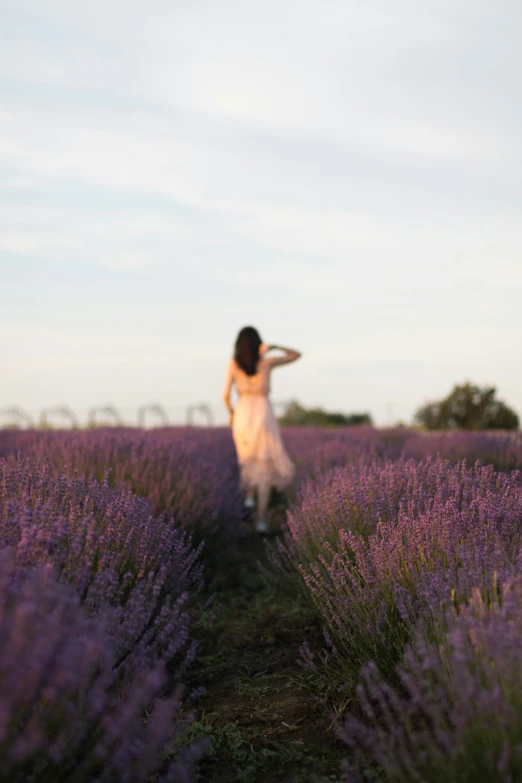 woman in dress and white dress walking through a lavender field