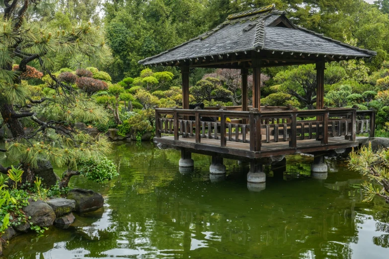 a large pond with a wooden bridge over it