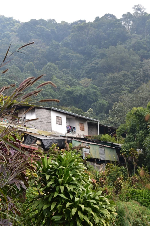 there is a building in a bush by the mountains