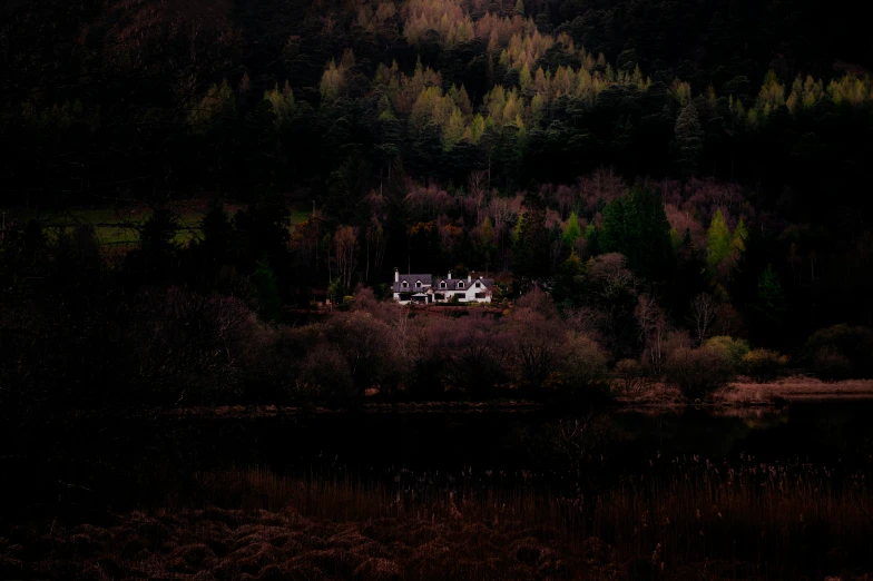 a po of a house near some trees