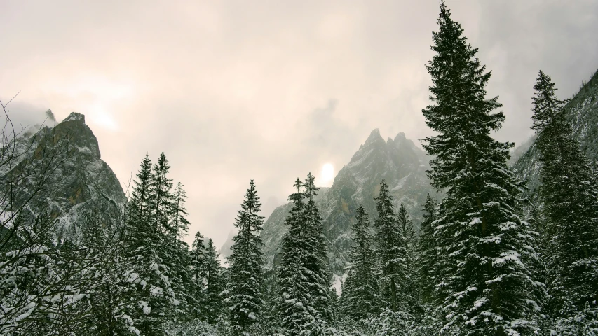 the mountains covered in snow with trees