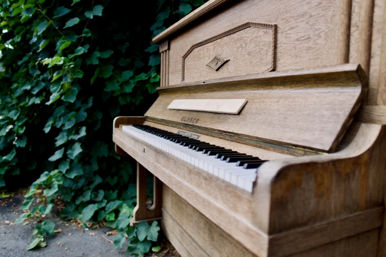 the small piano is built around a tree