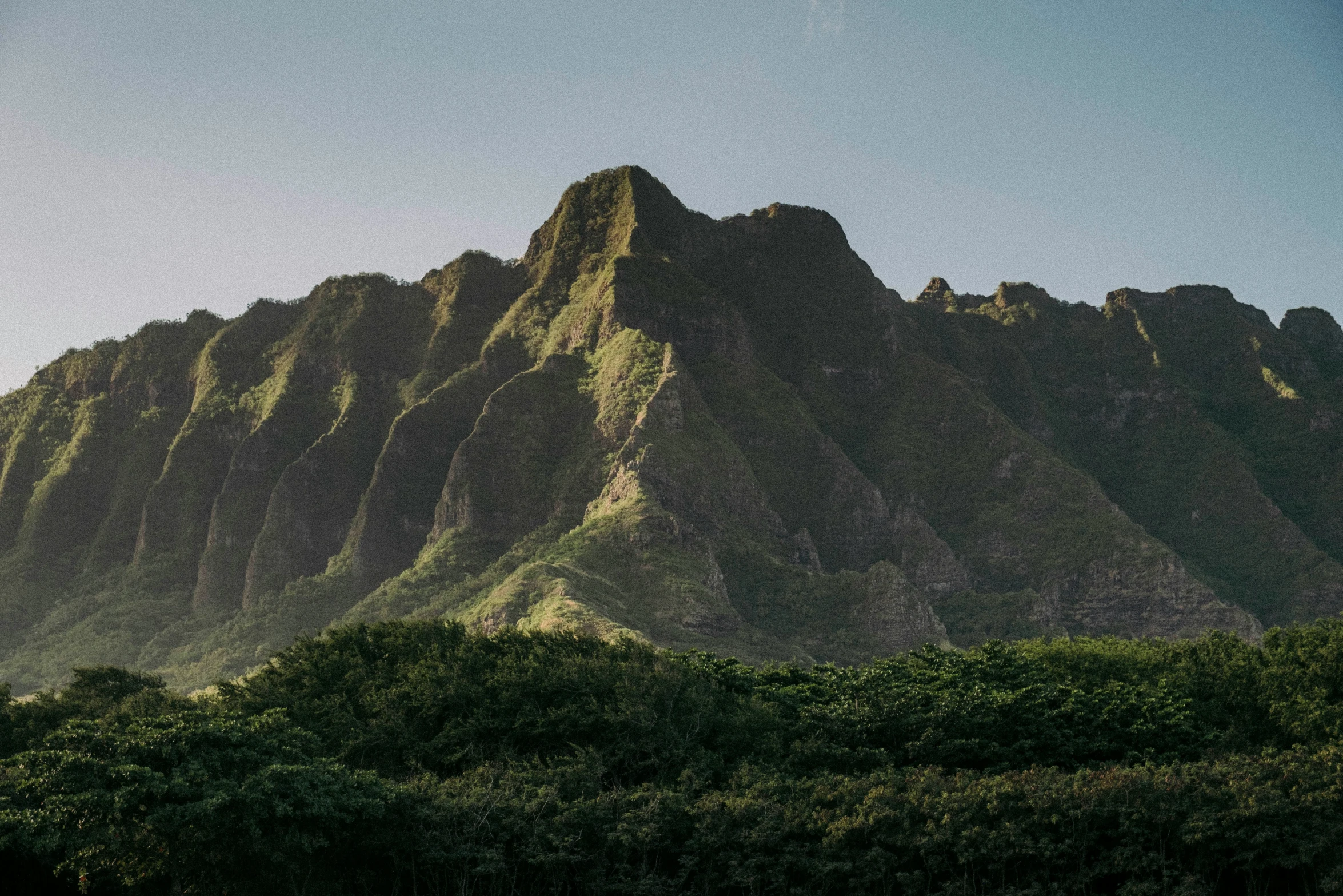 the mountain range is covered in very green foliage