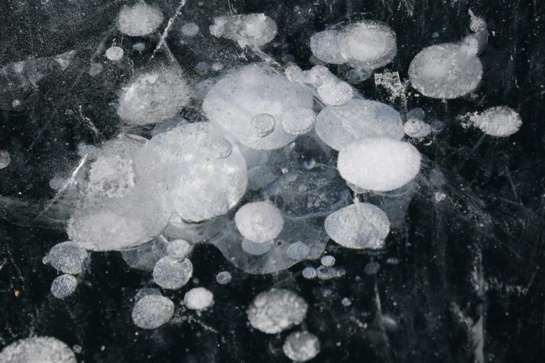 a lot of bubbles on top of a black surface