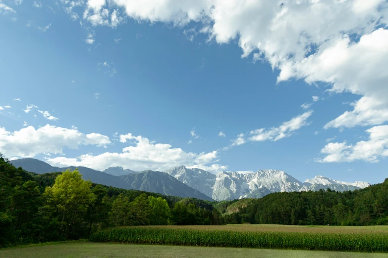 the mountains can be seen in the distance under the blue sky