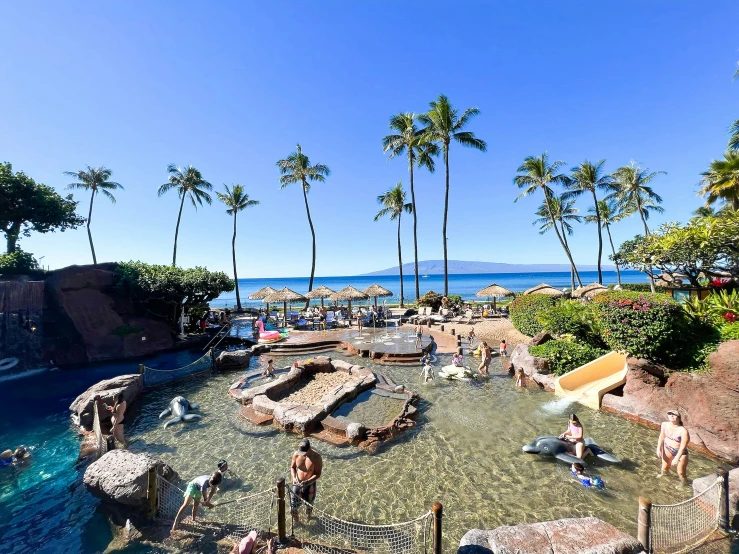 a sandy area next to some palm trees