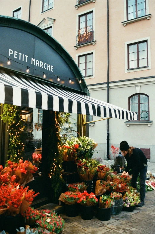 a man who is examining a store's flowers