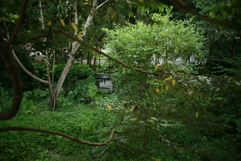 a small house is next to some green trees