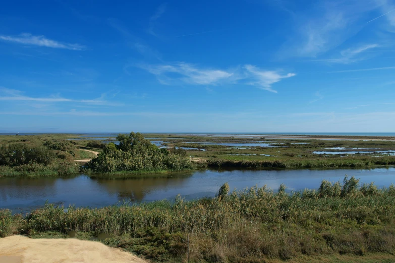 a water way that is next to a field