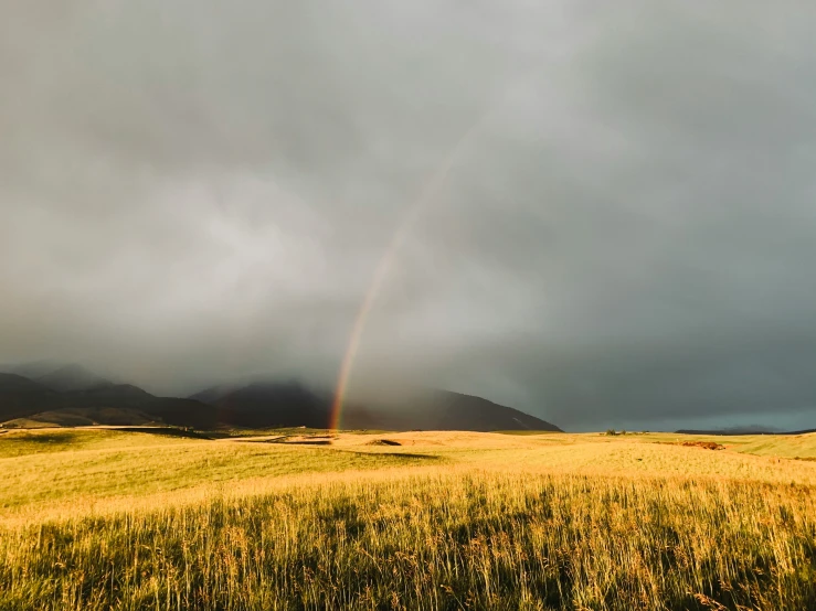 rainbow on cloudy day over yellow field in alpine region