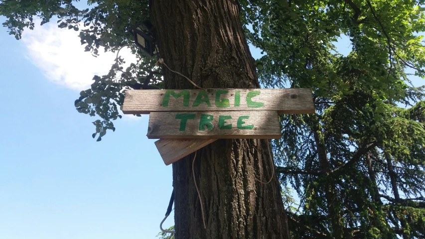 a wood sign attached to the side of a tree