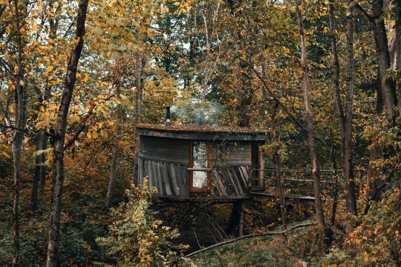 a tree house in the middle of a forest