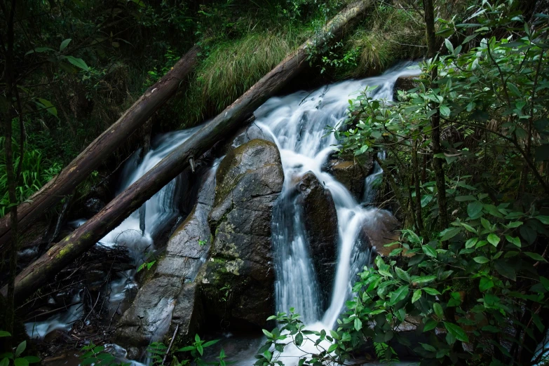 the view of water coming down from the rocks with a tree and some moss