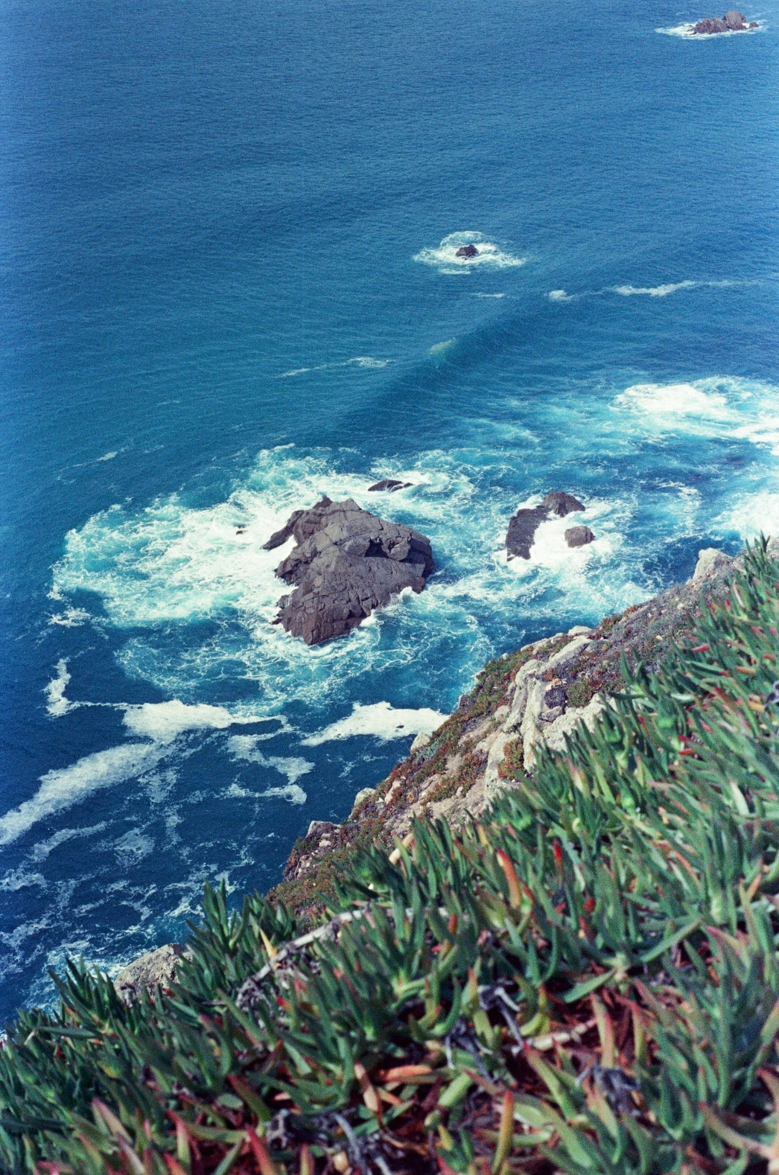 view of an island with green vegetation and ocean in background