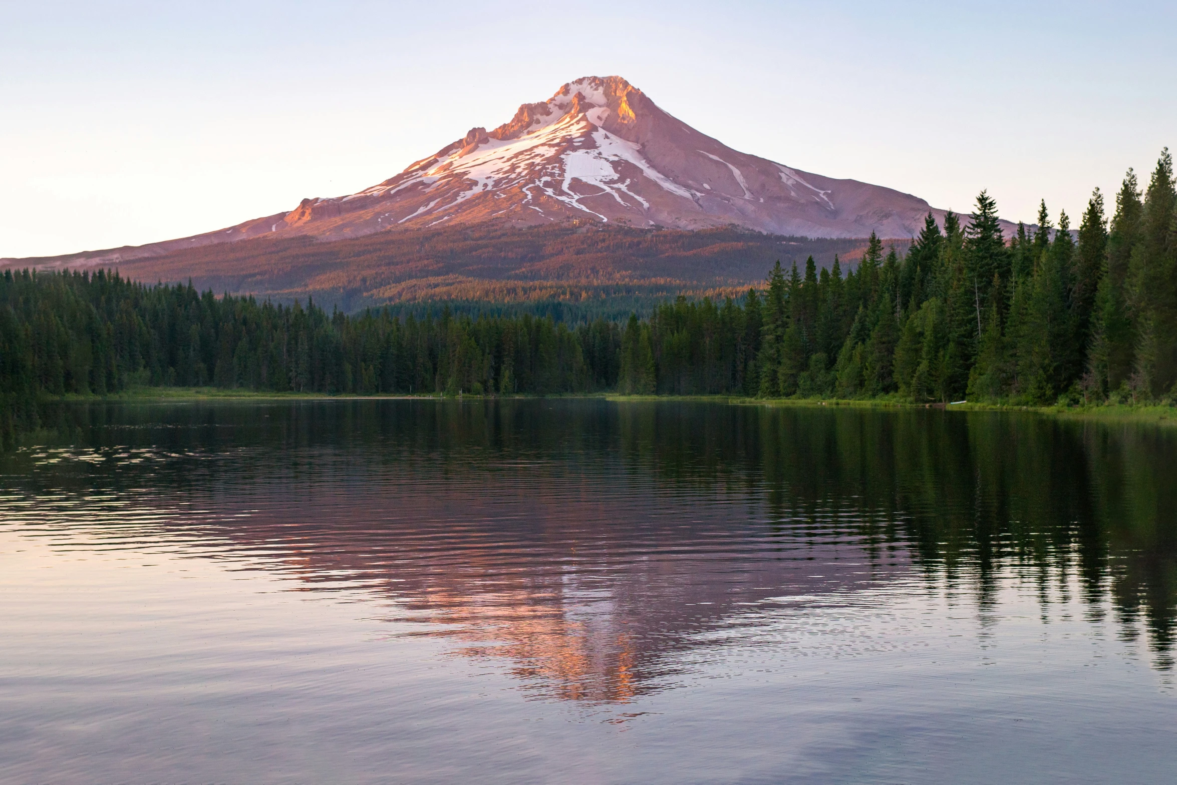 a snowy mountain rises above trees in a lake