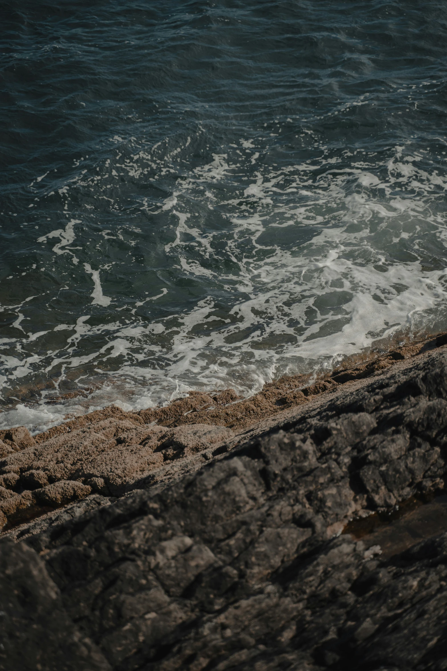 bird standing on the rock with the ocean crashing