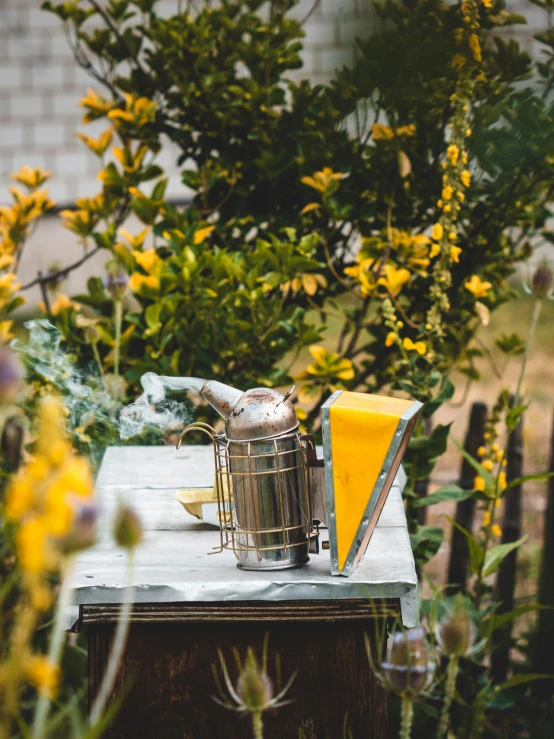 a table with flowers around and an old style grill on top of it