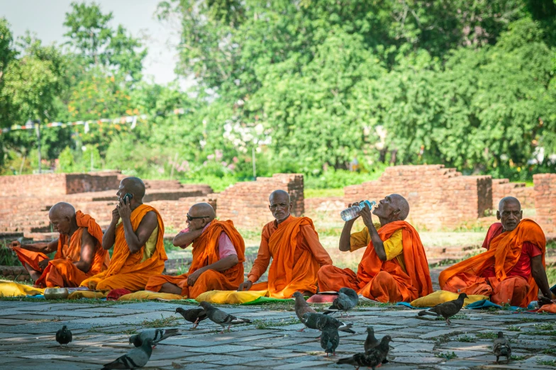 monks sitting in the park with pigeons eating food