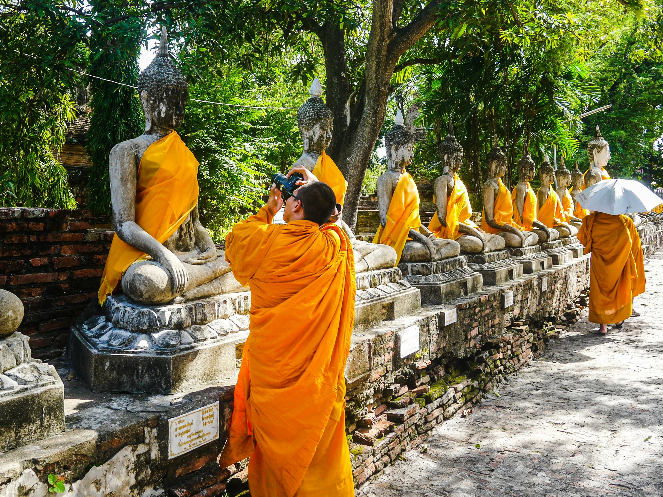 a woman taking pictures of a line of buddha statues