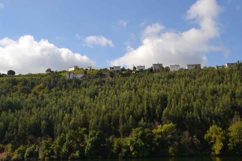 some houses that are on a hill near some water