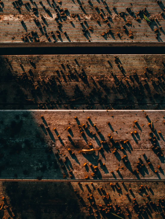 an aerial view of shadows on the ground