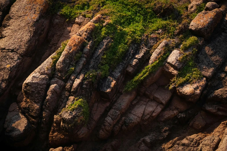 the top view of some rocky cliffs with plants growing on it