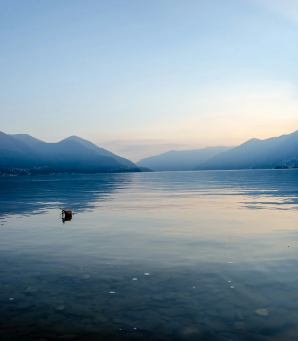 an animal standing in water with mountains behind it