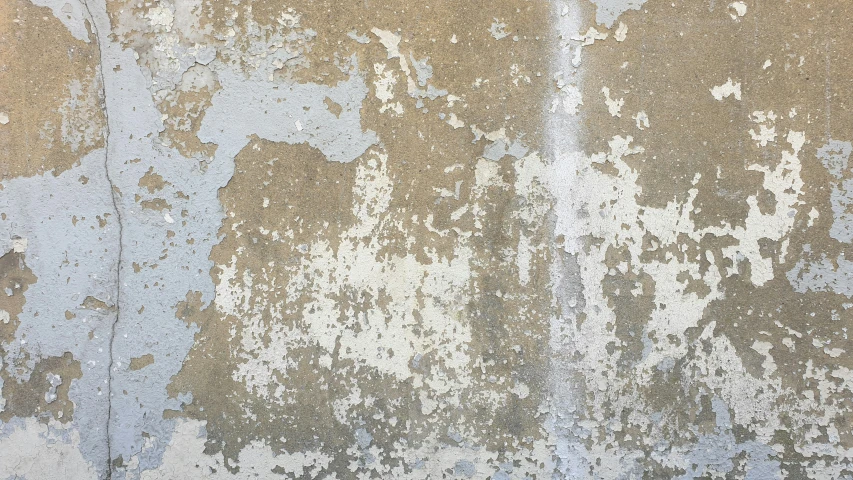 an image of dirty white paint on the wall