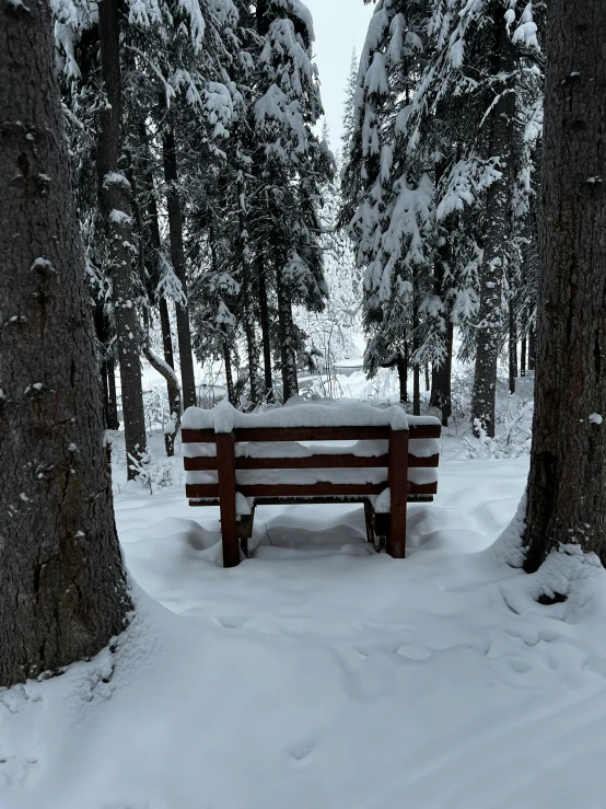 a bench that is sitting in the snow