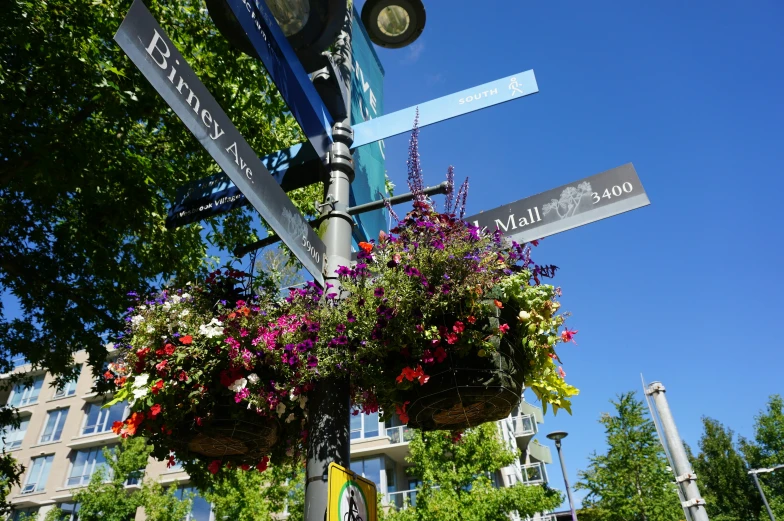 the street signs are hanging on the pole