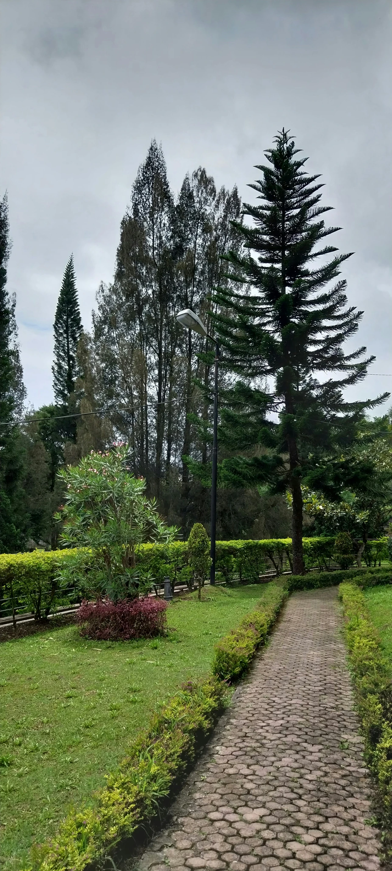 a stone pathway running through a garden on a cloudy day