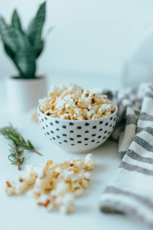 a bowl of popcorn sits next to a plant