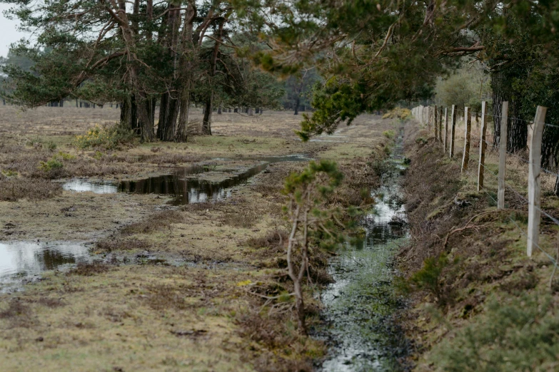 two people are riding horses along side of the water