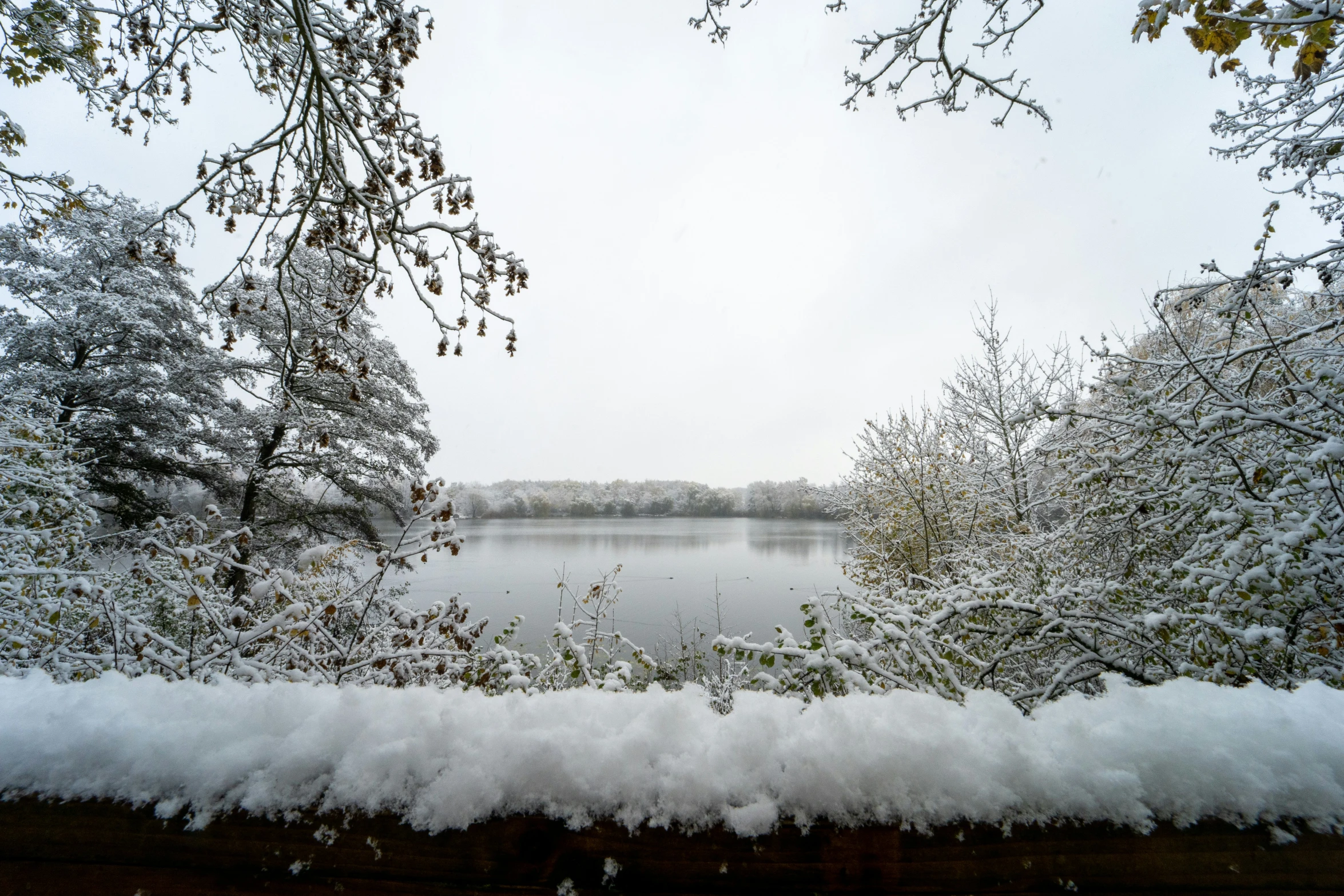 snow is on the ground and surrounding the water