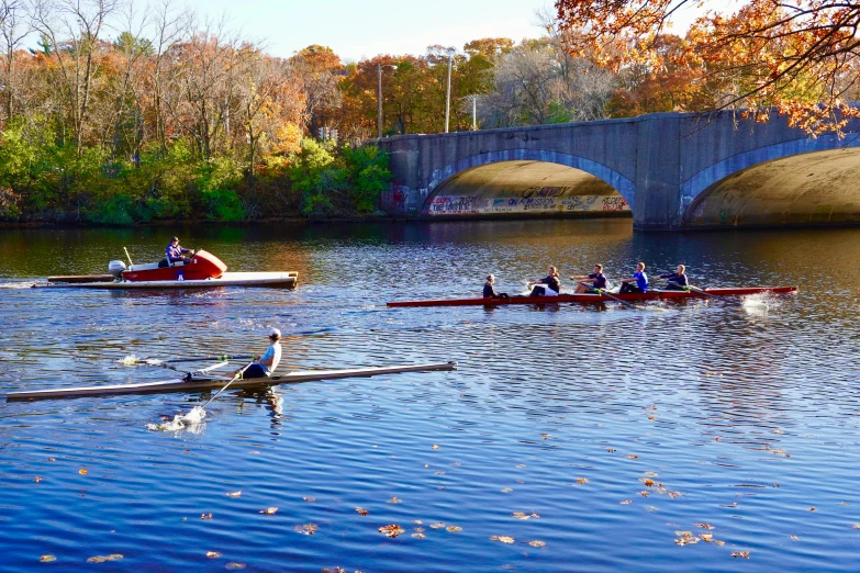 several kayaks in the water in front of a bridge