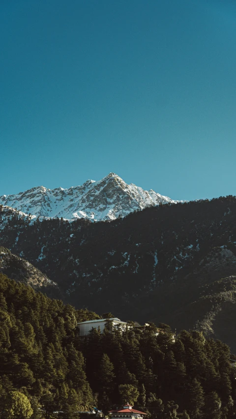 snow capped mountain near a wooded area with houses