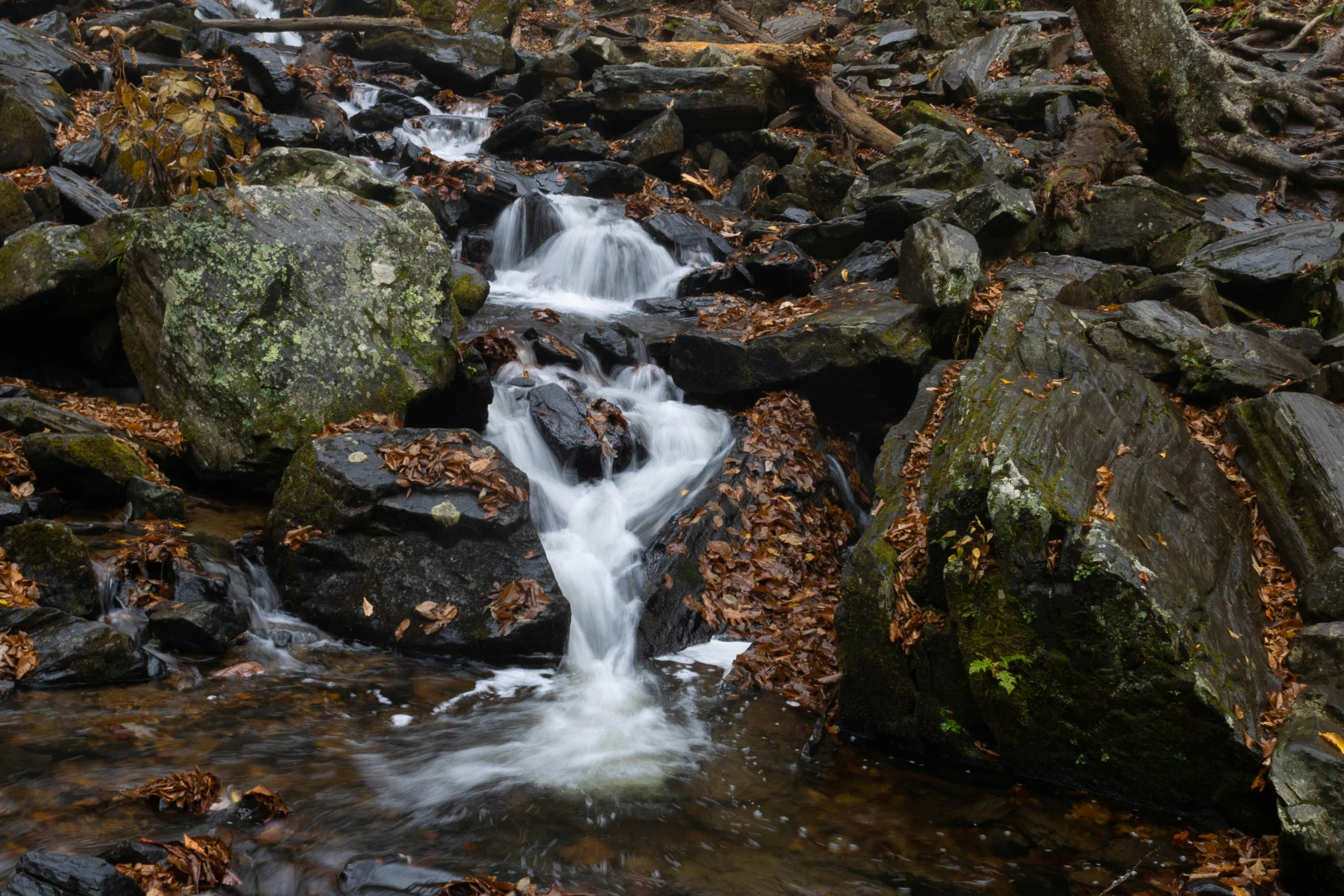 the rocks have water coming out of them