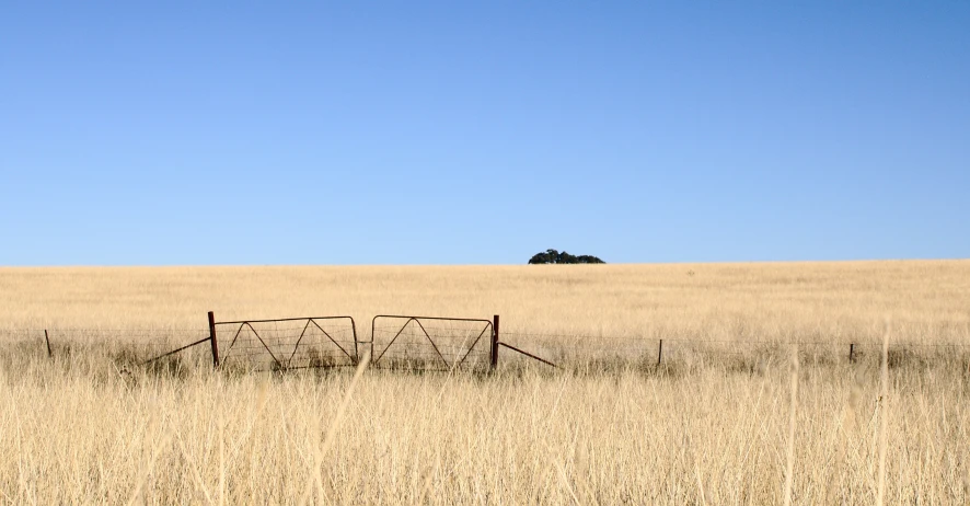 this is an old rusted out gate in the middle of the field