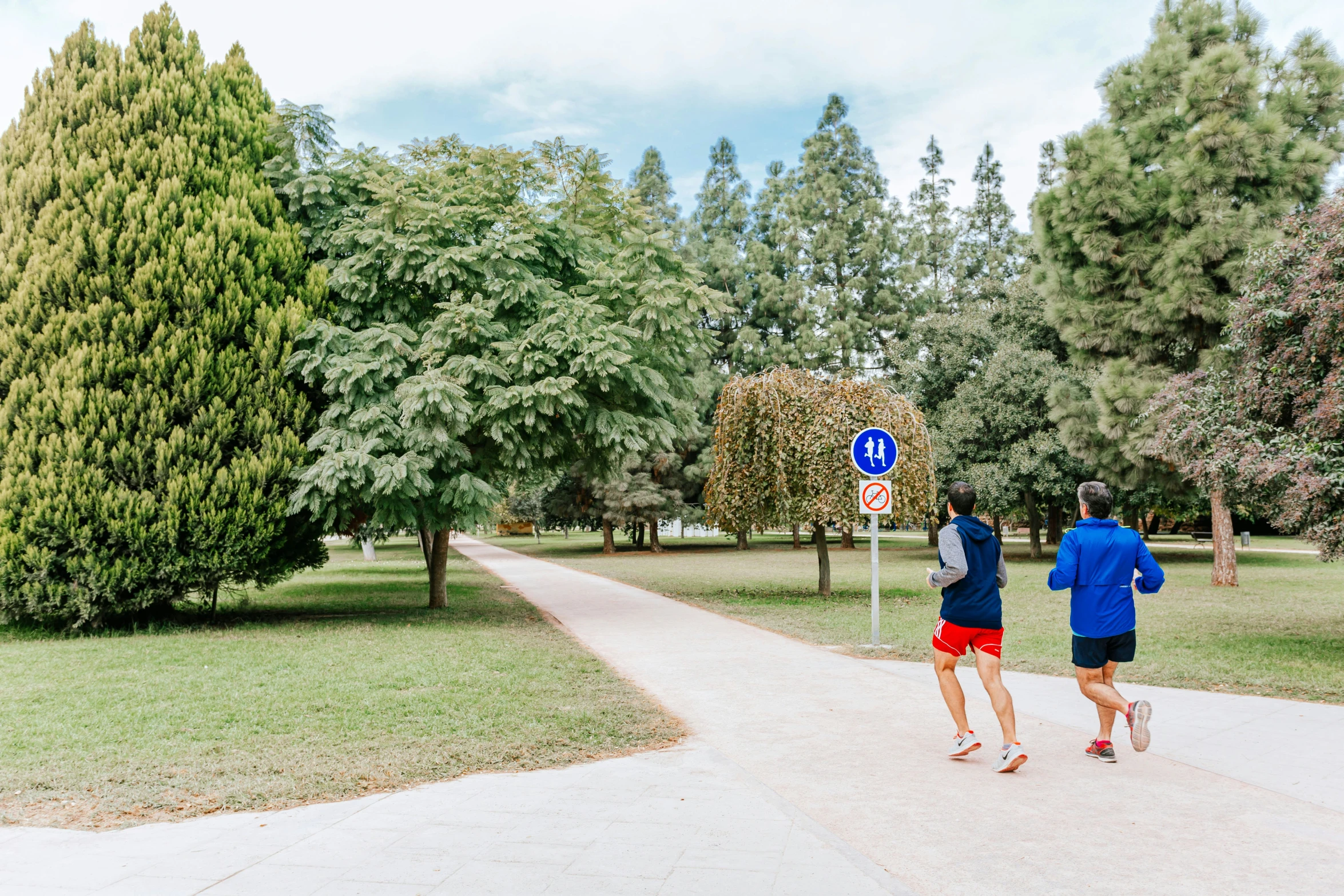 a man and woman standing on a pathway in front of trees