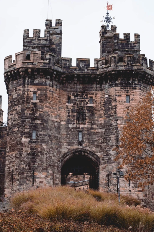 the castle has a gate for many cars to drive into