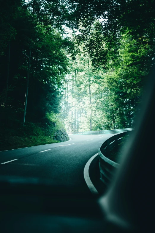 a view from the seat of a vehicle looking out on a road through green trees