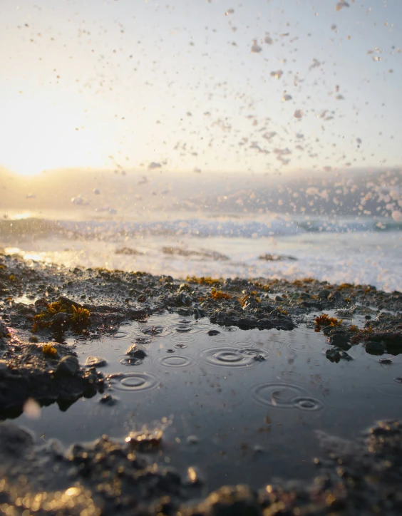 a small wave is coming in to the shore