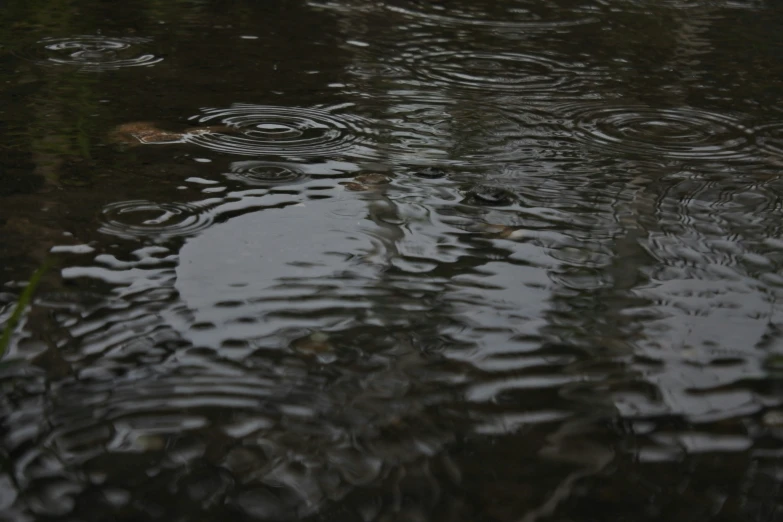 several circles that are falling off of the ground