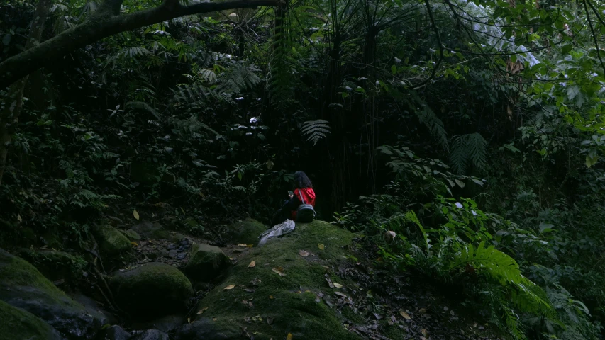 a woman stands in a wooded area next to a forest