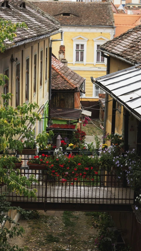 an image of looking down at some houses and flowers