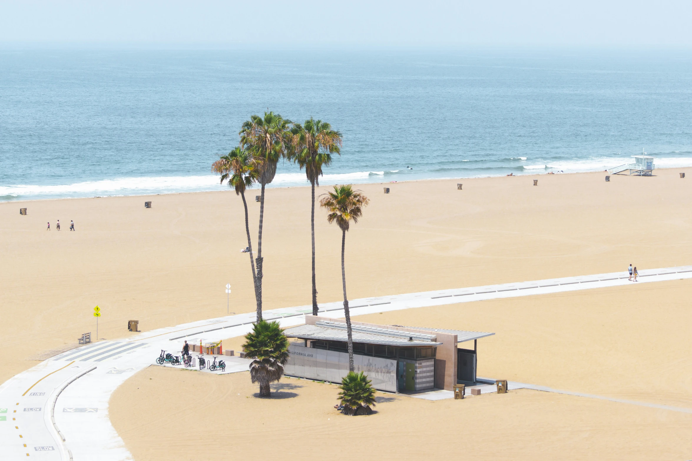 a couple of palm trees sitting next to the ocean