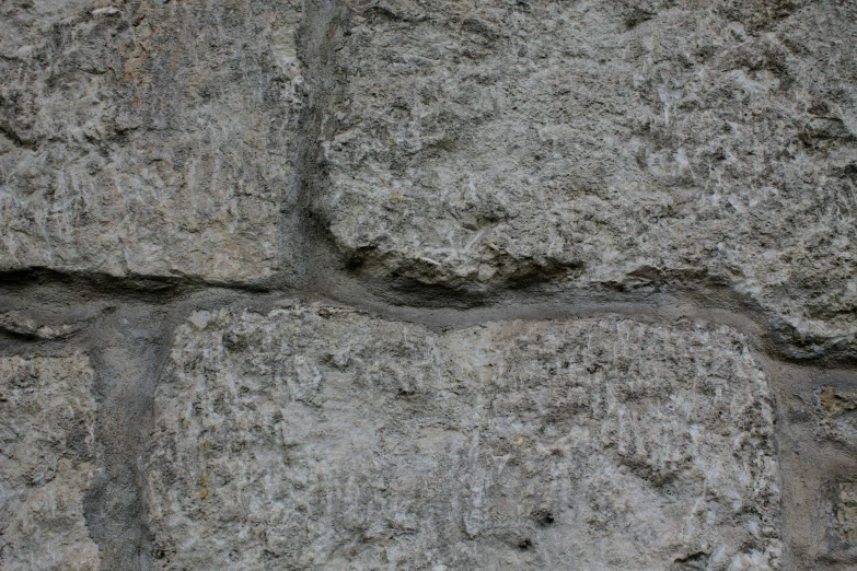 the black bird is standing in between two blocks of grey stone